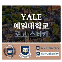 예일대학교 Yale University 로고 포인트 스티커 데칼 스킨, 1번(소형-투명)
