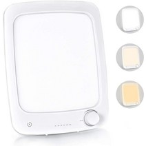 RUEOO UV 프리 라이트 테라피 램프 10000Lux LED 밝은 화이트 테라피 조명 5가지 밝기 조절 가능 터치, 한개옵션0