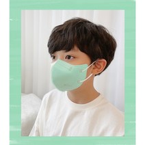 (5매+5매) 비쥬마스크 어린이 새부리형 마스크 소형 초등학생 아동 컬러 마스크, Dawn Rose 로즈 (5매+5매)