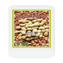 고소미땅콩씨 30g 콩씨 씨앗 대장 KS종묘