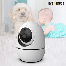 아이던스 무선 스마트 홈 CCTV EDN-HOMEHD1 베이비캠 홈캠 강아지 펫캠, 무선 홈 카메라, 삼성64GB