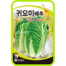 귀요미배추 씨앗 300립 쌈배추 씨 미니 알배추 종자 김장채소, 단품