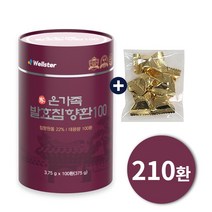 [침향원물 22% 210환] 웰스터 온가족 발효침향환100 2통+무료체험분+선물용쇼핑백