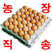 [묵동농장]무항생제 HACCP인증 바른계란 특란 60구