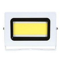 스타라이트 슬립투광기 SSP-LED80W-C