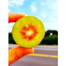 레드키위 2kg 25개내외 제주레드키위 천혜향 노지감귤 조생귤, 상세페이지 참조