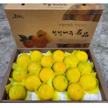 <<연말 선물>>산지직송 고당도 제주황금향 선물용 황금향 5kg, 1개” class=”wr-img”></a></div>
</p></div>
</p></div>
</p></div>
<div class=