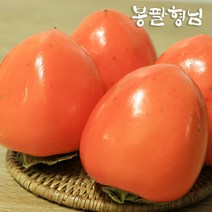 대봉감 5kg (14-16과) 곶감용 전라도 대봉시, 단품