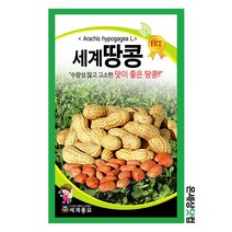 세계땅콩 30g/ 땅콩 씨앗 종자 농작물 텃밭키우기 채소키우기, 500g, 1개