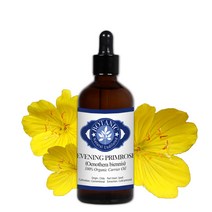 보타닉잉글랜드 유기농 달맞이꽃오일100ml 냉압착 비정제, 단품