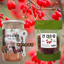 갱년기 피로회복 국내산 산수유 열매 분말 가루 파우더 전남구례 말린 건산수유 말린, 2-1.건산수유 500g 1팩