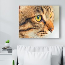 귀여운 고양이 사진 캔버스액자 (고객님 야옹이 사진으로도 제작 가능합니다), CAT19