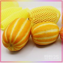 성주 고당도 꿀참외 고급형 당일수확 개별 망포장, 고급형 중과 5kg (18~23과)