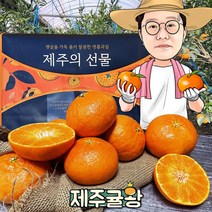 귤왕 농장 직배송 제주 하우스 레드향 2kg 3kg 5kg 가정용 명절 설 선물세트, 09.레드향 가정 중대과5kg 23과내외