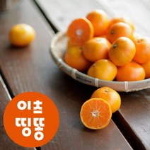 산지직송 제주도 서귀포 고당도 타이벡 조생 하우스 감귤 2.5kg 4.5kg, 노지감귤, 3kg 중대과