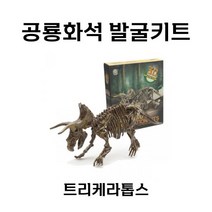 공룡화석 발굴키트 트리케라톱스