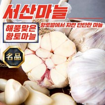 서산 황토밭 대서 마늘 (중 대 특 5kg), 서산 황토밭 대서마늘 중 3kg, 1개