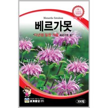 베르가못 300립 꽃씨 다년생 씨앗 몰 봄 여름 가을 야생화 세계종묘 농사마트