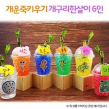 개운죽키우기 개구리한살이(6인용)
