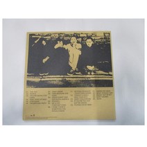 The1975 lp Notes On A Conditional 바이늘 바이닐