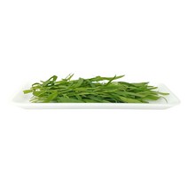 그린팜 생 타라곤 약 10g 1팩, 단품