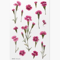 압화스티커 팬시 다꾸 폰꾸 스티커 패랭이꽃 꽃스티커 압화책갈피 꾸미기