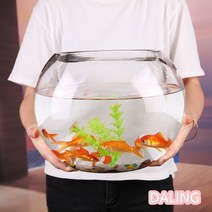 어항 창조적 인 둥근 유리 어항 투명 대형 데스크탑 두껍게 거북이 탱크 금붕어 수경 거실 풍수 행운