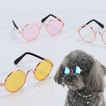 제이스 패션템 강아지 고양이 선글라스 도글라스 냥글라스, 3. 골드오렌지