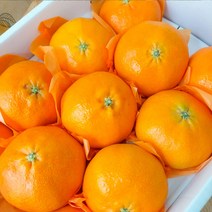 제주 레드향 한라봉 천혜향 선물세트 3kg 5kg, 레드향 가정용 중소 3kg(17과내외)