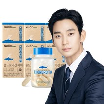 뉴온 콘드로이친 파워, 60정, 6개