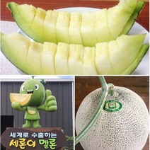 [멜론천국] 프리미엄 고당도 머스크 세지멜론 세론이메론 GAP 세지농협 5kg초과 특3수, 세지멜론-5kg-특(노란색)-13brix-3수