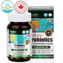 캐나다 액티브 프로바이오틱스 60캡슐 100억 유산균 락토바실러스 플란타룸 람노서스 가세리, 단품
