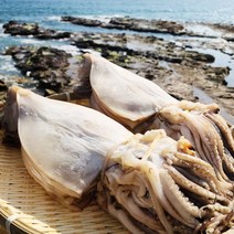건어물이좋다 동해안 국산 영덕 반건조오징어 피데기 10미 800g~1.7kg, 국산 대 1.2kg 내외 10미