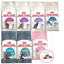 로얄캐닌 퍼피/키튼 캣 키튼 2kg 고양이 사료