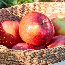 청송 꿀 부사 사과_흠과 8kg, 8kg 44-56과(꼬마사과), 1개