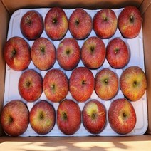 상주사과 백화산사과 3kg 12과 내외 문장대사과 성주봉사과, 상세페이지 참조