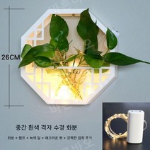 수경 화분 정화식물 화초 실내 식물 키우기 무펀칭, E