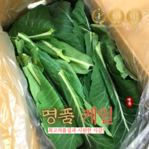 국산 친환경 유기농 케일 신선초 녹즙용 주스용 녹즙재료 산지직송 1kg 2kg