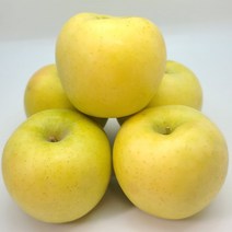 [신 품종] 고당도 시나노골드 황금 사과 3KG 5KG, 7. 정품 5KG 소과 22~24과