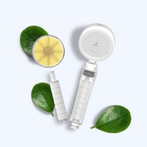 이온폴리스 V+ SF코팅 비타민 샤워기 헤드필터1개증정 _ 73197101EA, 1, 본상품선택