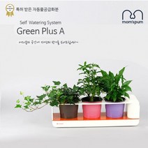 올콕맘스품 무동력 자동급수시스템 화분+화초 시리즈_K세트)무 물순환 쿠아리 플라스틱 컬러 미니 인테리어 공기청정식 그린 정화식 식물 식+allcokㅍㄱ, 이상품이좋아요, 이상품이좋아요