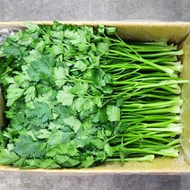 이태리파슬리 500g, 1개