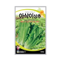 모칸도 세계종묘 아삭이 상추 씨앗 1000립