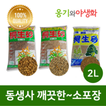 옹기와야생화 동생사 세립(SS) 2L 깨끗한 소포장, 1개