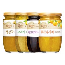 복음자리 생강차/모과차/배도라지차/유자차, 복음자리 모과차 480g X 2