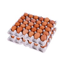 [더 시선] 구운계란 싹쓸이 1세트, 60개, 35g