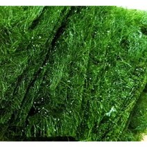 r건겅에 탁월한 효능가진 햇 감태(2023년 산) 10장 x 2봉 대림수산