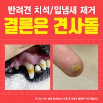 견사돌 1&1 쌍쌍팩(닭고기+연어맛) 견사돌2박스 치석제거 잇몸건강 간식 연어첨가 껌 강아지 전용 치약 강아지 간식 애견 간식, 중대형견용(10개입)X2