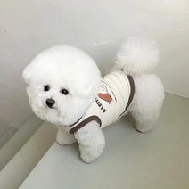 환견복 반려동물중성화 고양이수술복 강아지수술복, S백 길이 25cm 캐티 3 4마리 추천, H.갈색 강아지