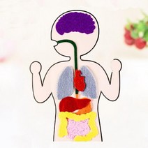 부직포 장기 스티커 인체 만들기 학습 교구 역할 재료 조립 우리몸 준비물 어린이 교과서 몸 제작